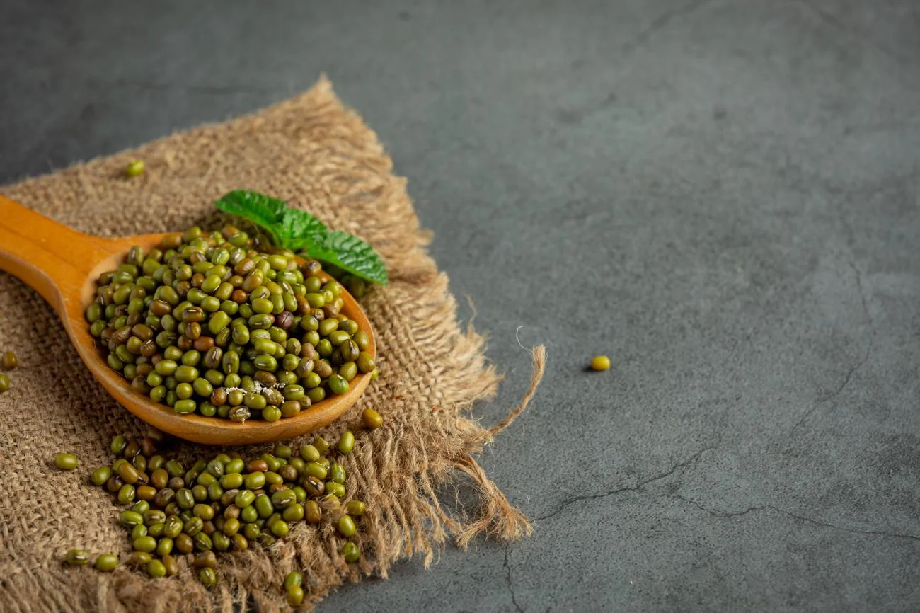 Sprouted green moong beans with a wooden spoon
