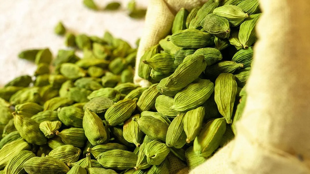 Green cardamom pods in a close-up view