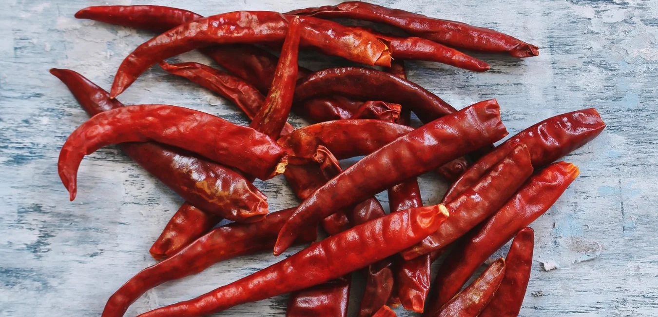 Dried red chillies in a heap