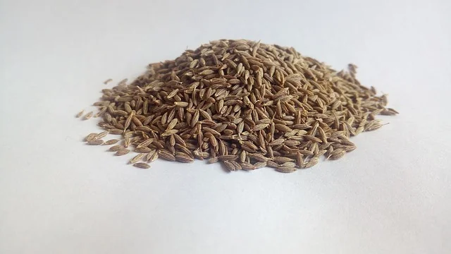 A spoonful of cumin seeds