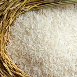 IR 64 parboiled rice grains